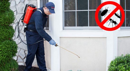 Villakent Pire İlaçlama böcek ilaçlama ve haşere kontrolü — ilaclama-tr.com